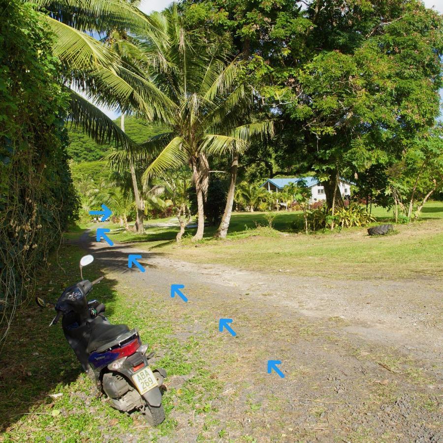 'Are Pepe One Bedroom Container Style Unit Rarotonga Kültér fotó