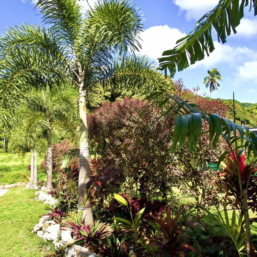 'Are Pepe One Bedroom Container Style Unit Rarotonga Kültér fotó